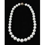 Graduated South Sea pearl necklace, with 14k gold clasp, approximately 11.5 to 14 mm, 16 1/2" L.
