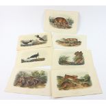 Set of seven (7) Audubon Octavo prints by J.T. Bowen, 6 1/2" x 10 1/2". Provenance: From a