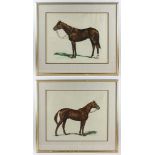 Edward L. Chau, colored equestrian etching, framed 23" x 26". Provenance: From a Fitchburg,