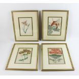 Group of four hand-colored botanical prints, 14" x 11". Provenance: From a Delray Beach, Florida