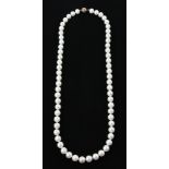 South Sea pearl necklace, with 14k gold clasp, approximately 11.5 mm, 30" L. Provenance: From a