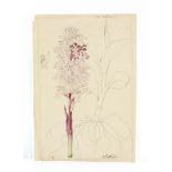 T. Ruskin, Orchids Robertiana, hand-colored drawing on paper, 11" x 7 3/4", unframed.