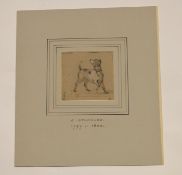 Joseph Stannard (1797-1830)^ Dog in a landscape^ chalk drawing^ monogrammed lower left^ 7 x 7cm^