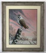 Mark Chester (contemporary)^ |Evening rest - Barn Owl|^ acrylic^ signed lower right^ 49 x 39cm
