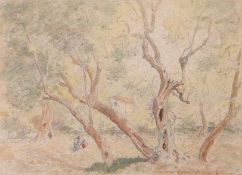 Inglis Sheldon-Williams (1870-1940) "Olive trees near Villa Kathe, Italy", pencil and watercolour,