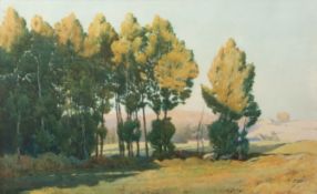 Charles Gilder Maundrell (1860-1924), Wooded landscape watercolour, signed lower right, 46 x 74cm