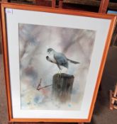 AR Tony Holahan (Contemporary), Hen Harrier on a post watercolour, signed lower left, 60 x 46cm