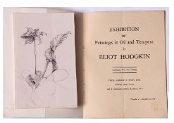 Attributed to Eliot Hodgkin (1905-1987), Botanical study, pencil drawing, 18 x 11cm unframed
