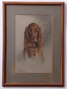 Marjorie Porter (20th century), Dog study, pastel, signed lower left, 38 x 24cm