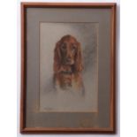 Marjorie Porter (20th century), Dog study, pastel, signed lower left, 38 x 24cm