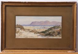 W Westhofen (19th/20th century), "On the Cape Flats (evening, South Africa)" watercolour, signed and