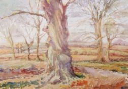 English School (early 20th century), Woodland landscape, watercolour, 28 x 40cm