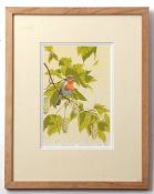 AR John Tennent (born 1926), "Robin in Sycamore", coloured lithograph, signed, dated 1976,