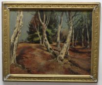 Matt Bruce (20th century), Wooded landscape oil on board, signed lower right, 49 x 60cm