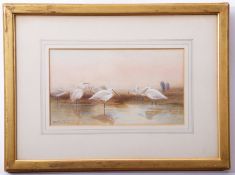 Charles Whymper (1853-1941), Spoonbills, watercolour, initialled lower left, 13 x 23cm
