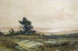 Walter Sydney Stacey (1846-1929) "The Estuary of the Exe from Maldon Moor, Devon" watercolour