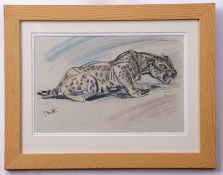 Elsie M Henderson (1880-1967), Leopard, crayon drawing, initialled lower left, 21 x 32cm