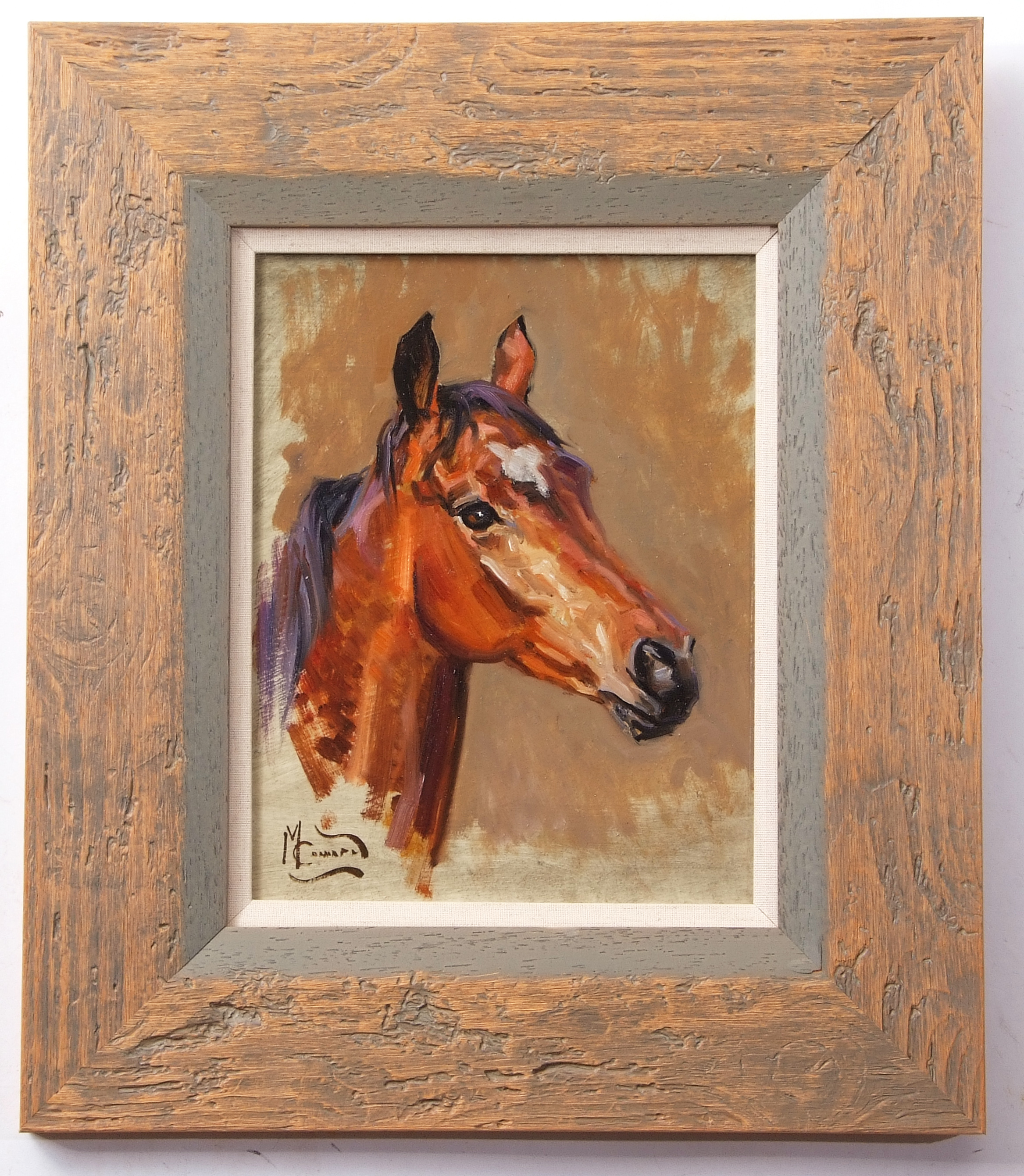Malcolm Coward (born 1948), Horses head oil on board, signed lower left, 27 x 21cm