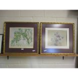 TWO GILT FRAMED PRINTS