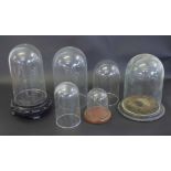 Collection of six various glass domes in various sizes, largest 20cm high
