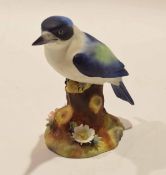 Royal Crown Derby model of a kingfisher, 13cm high