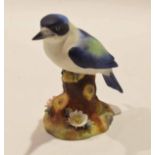 Royal Crown Derby model of a kingfisher, 13cm high