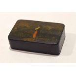 Late 19th/early 20th century lacquered box of rectangular form, the lid decorated with a scene of