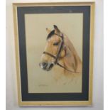 AR Rex Grattan Flood, (1928-2009), Horses head, pastel, signed and dated 1973 lower left, 52 x 35cm