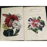 CHARLES MCINTOSH: THE GREENHOUSE, HOTHOUSE AND STOVE, London, W S Orr, 1840, added hand coloured