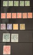 Falkland Islands 1904-12 set mounted mint 1/2d (5) including shades 1d (6 including shades) 1d (6