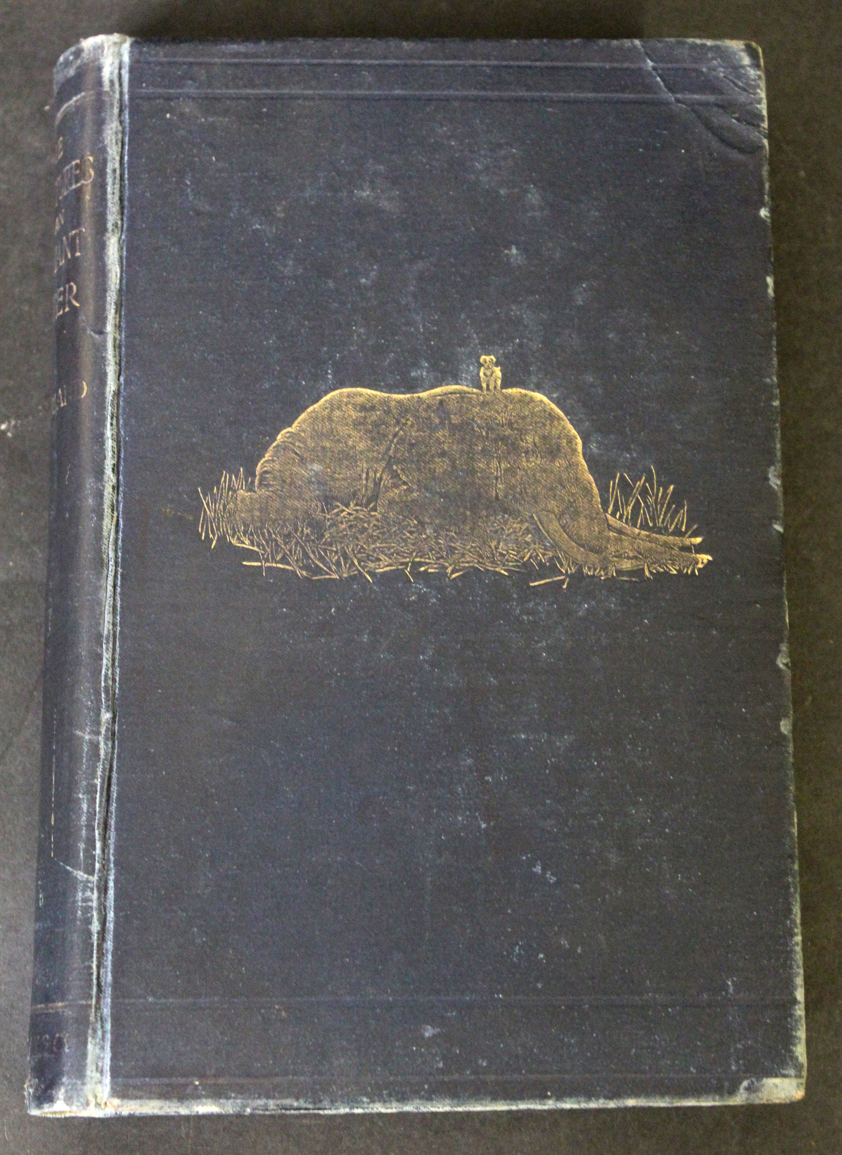 JAMES SUGHERLAND: THE ADVENTURES OF AN ELEPHANT HUNTER, London, MacMillan 1912, 1st edition, - Image 2 of 3