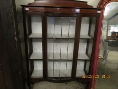 EDWARDIAN MAHOGANY DISPLAY CABINET WITH SINGLE LEADED AND GLAZED DOORS RAISED ON PAD FEET