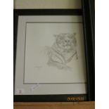 FRAMED PRINT OF A TIGER