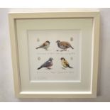Madeleine Floyd (20th century) "Farmland birds" coloured print, signed, numbered 41/195 and