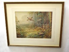 AR Roland Green (1896-1972) Pheasant in woodland watercolour, signed lower left, 26 x 34cm