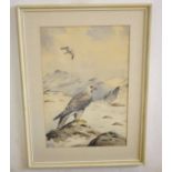 AR John Shepperd (20th Century) Gyr Falcon in Winter Landscape watercolour, signed lower right, 53 x