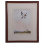 AR John Cyril Harrison (1898-1985), "Snipe dropping to alight" watercolour, signed lower right, 33 x