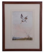 AR John Cyril Harrison (1898-1985), "Snipe dropping to alight" watercolour, signed lower right, 33 x