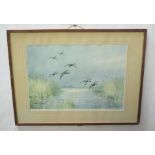 Roland Green (1896-1972) Mallard alighting artist's coloured proof with publisher's blind stamp,