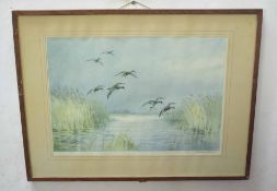 Roland Green (1896-1972) Mallard alighting artist's coloured proof with publisher's blind stamp,