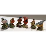 Group of six Royal Worcester birds on floral bases, including Blue Tit and a Robin, and a blue bird,