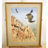 AR John Tennent (Born 1926), "Vultures in Crete" watercolour, signed lower left 55 x 40cm