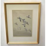 John Cyril Harrison (1898-1985) Wigeon monotone watercolour, endorsed by the artist's son verso,