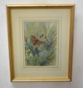 Robin C Harrison (20th century) Butterfly and flowers watercolour, signed lower right, 26 x 18cm