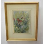 Robin C Harrison (20th century) Butterfly and flowers watercolour, signed lower right, 26 x 18cm