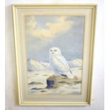 AR John Shepperd (20th Century), Snowy Owl in Landscape watercolour, signed lower right, 53 x 35cm