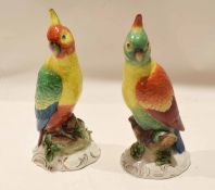 Pair of Continental porcelain coloured parrots, both on raised gilded branches, decorated in Meissen
