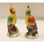 Pair of Continental porcelain coloured parrots, both on raised gilded branches, decorated in Meissen