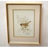 Andrew Osborne (20th century) Bird studies group of three watercolours, all signed, 27 x 30cm (30