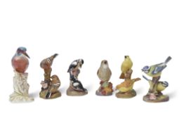 Royal Worcester model of a kingfisher together with five Royal Worcester bird studies including Blue